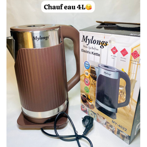 Bouilloire électrique portable en acier inox, bouilloire à eau chaude de 4L