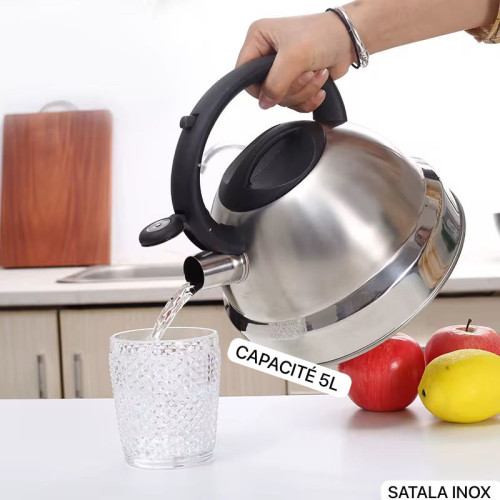 BOUILLOIRE À SIFFLET THÉIÈRE EN INOX - 5 LITRES