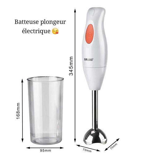 Mixeur Plongeant 300W Marque HAEGER